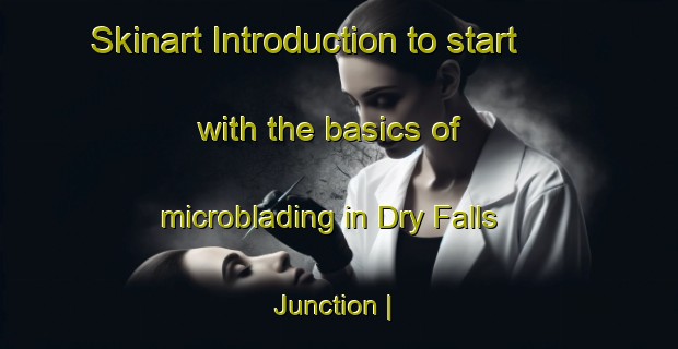 Skinart Introduction to start with the basics of microblading in Dry Falls Junction | MicrobladingTraining | MicrobladingClasses | SkinartTraining-United States